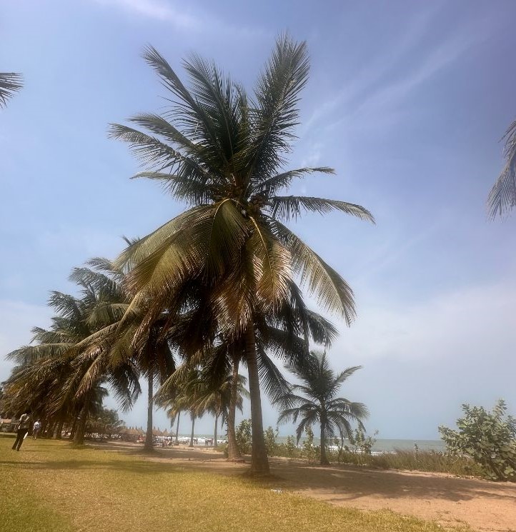 Gambia Holidays