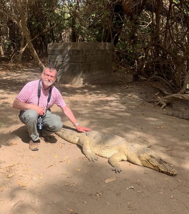 Gambian crocodiles