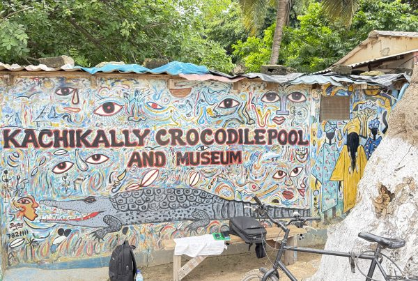 Crocodile Poole in Gambia