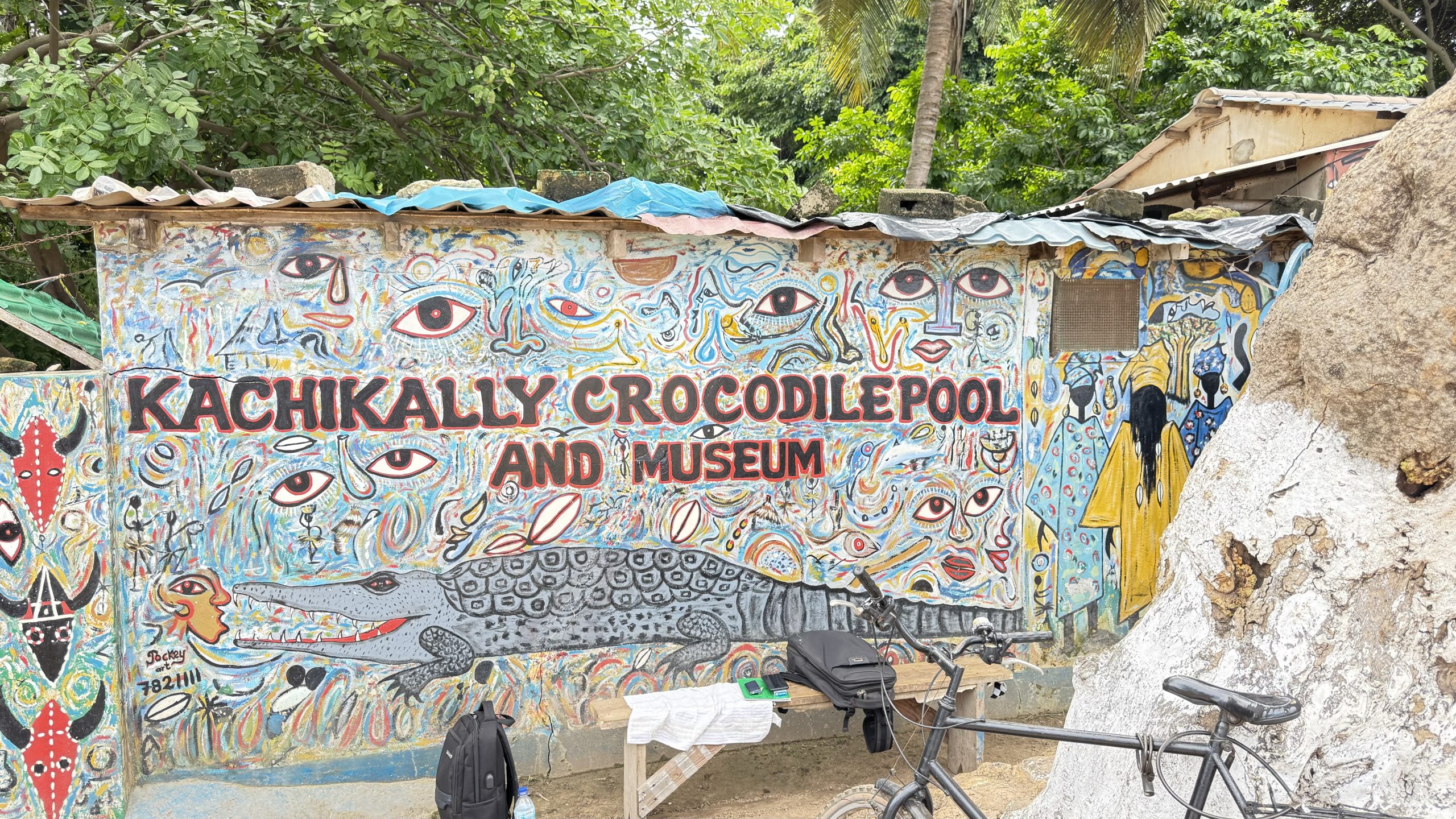 Crocodile Poole in Gambia
