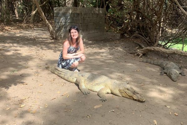 Crocodiles in Gambia