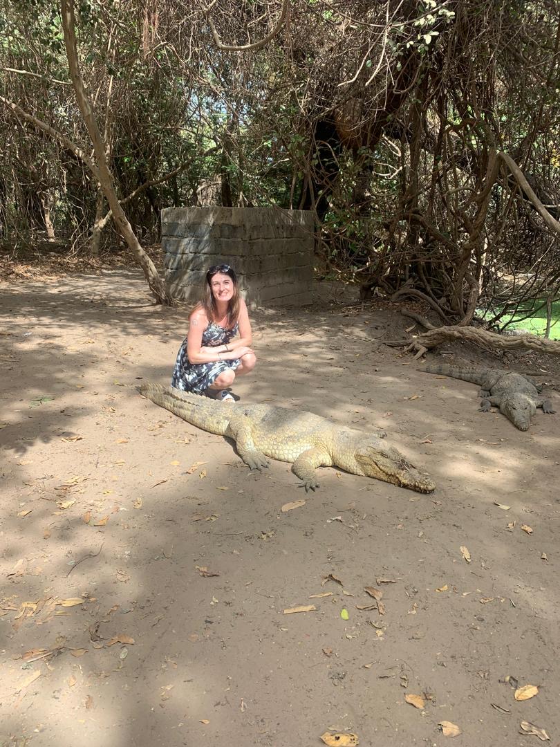 Crocodiles in Gambia